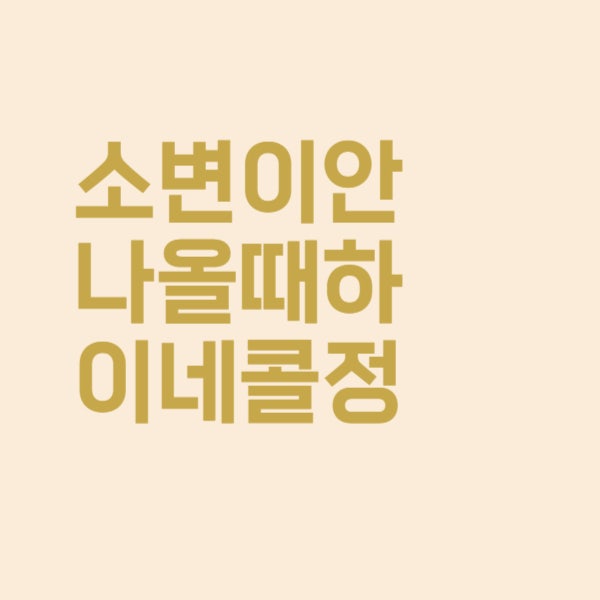 하이네콜정 소변이 잘 안 나올 때 효과와 복용 시 부작용 정리했어요