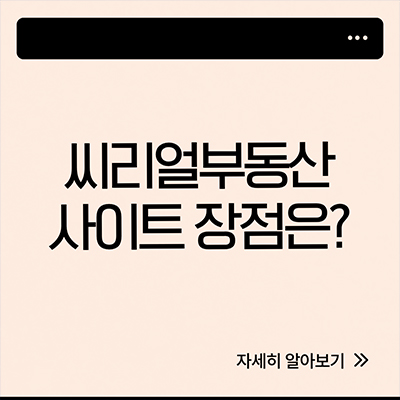  씨리얼 부동산 사이트 장점은