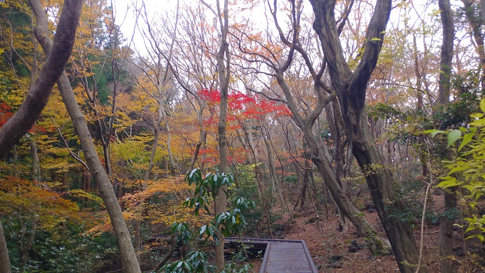 만추 사진 2
