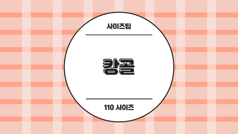 캉골 키즈 맨투맨 티셔츠 110 사이즈 팁