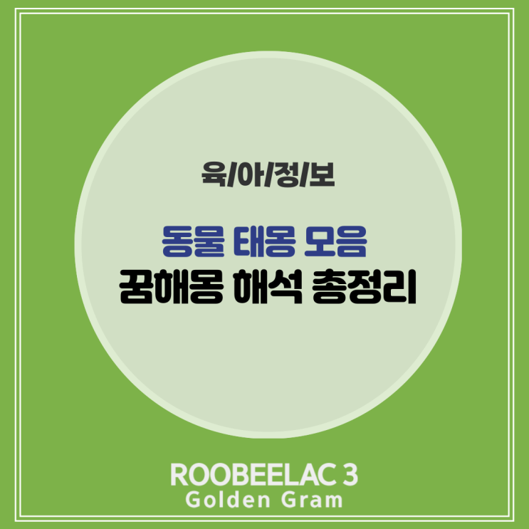  태몽 꾸는 시기 꿈 풀이 해석 용 호랑이 말 뱀 아들 딸 태몽 성별 by. 덴마크 프리미엄 루비락 골든 그램 3