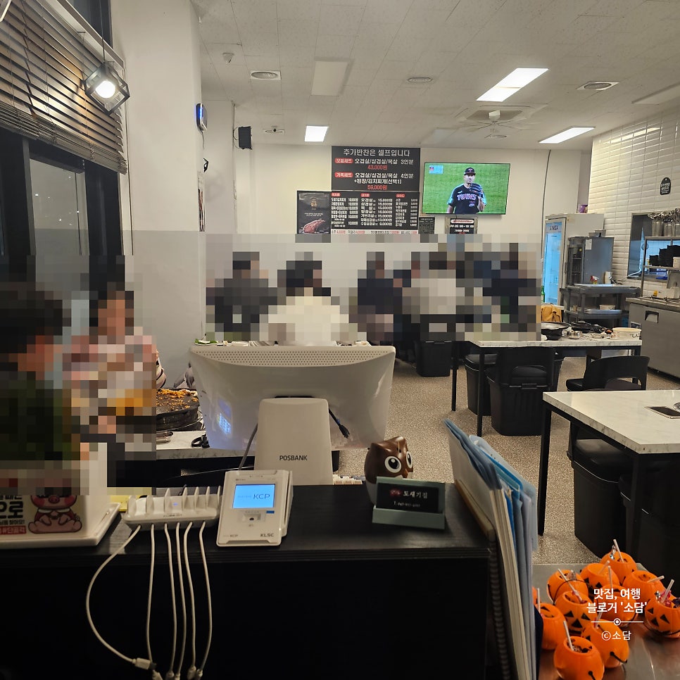 도새기집 사진 4
