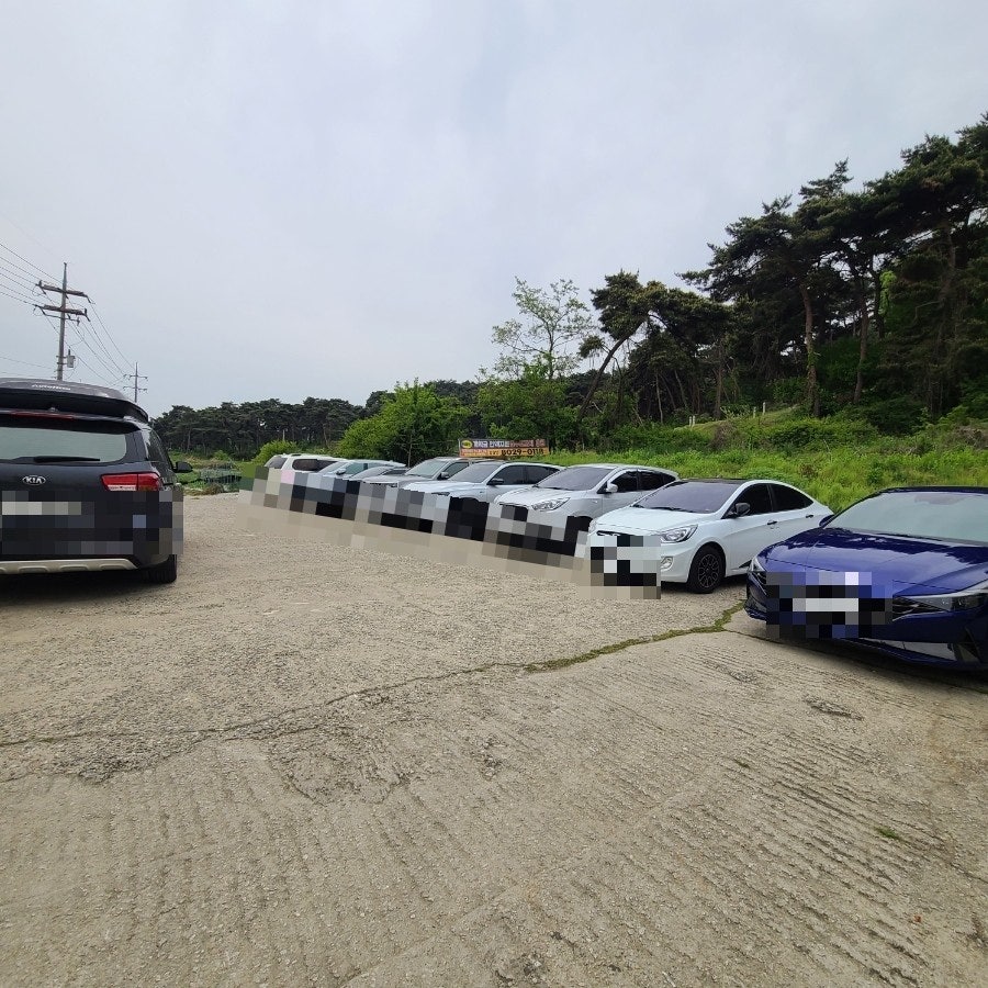 원조장수식당 사진 4