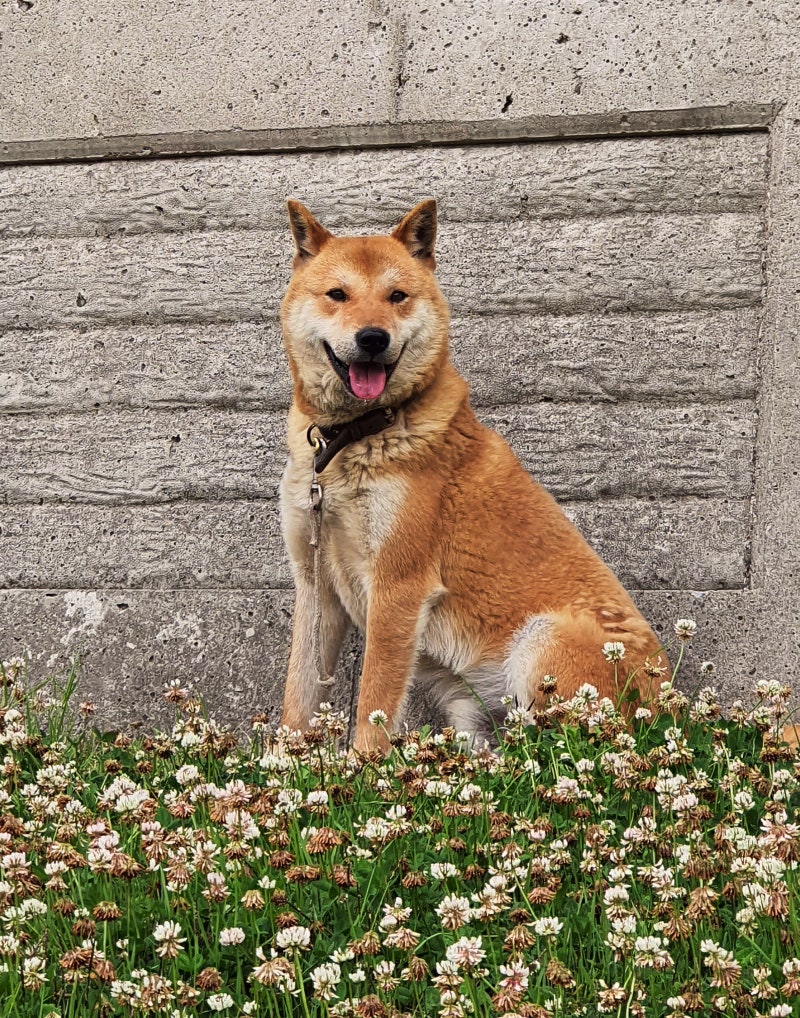 정책지식 2025.11.13. : 네이버 블로그