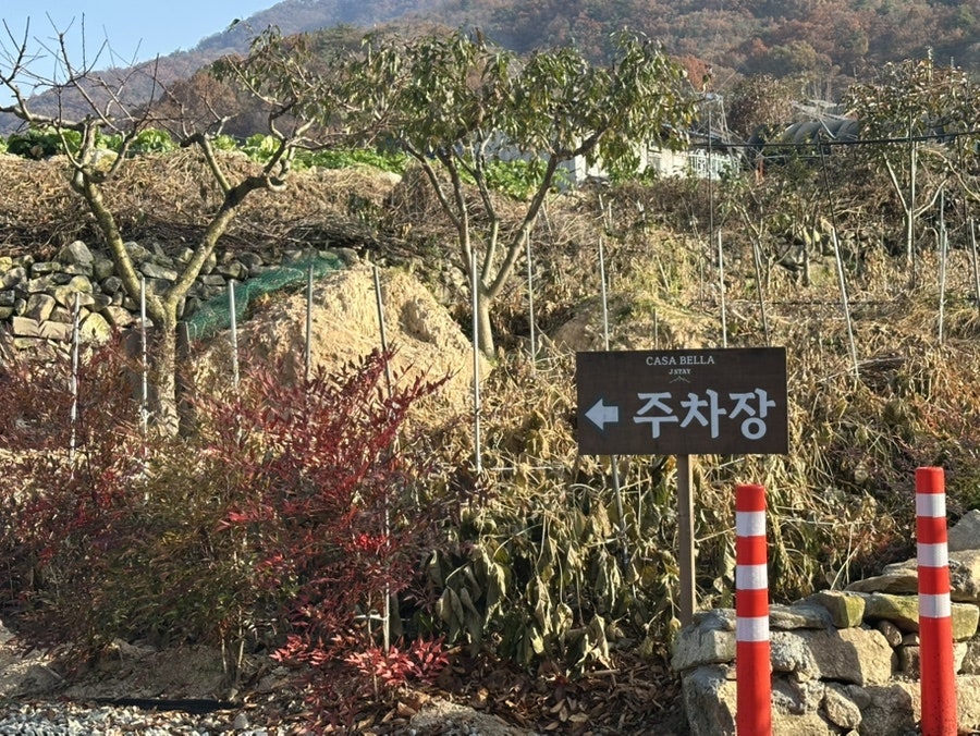 까사벨라제이스테이 사진 5