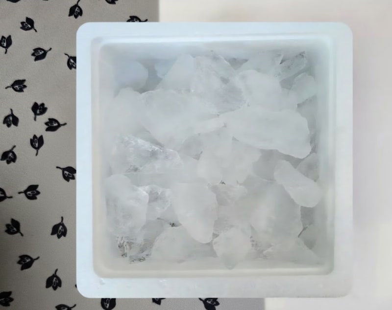 살고동 제철 및 신선한 고동 고르는 꿀팁!! 살고동 손질법과 쫄깃쫄깃하게 삶는 방법 보관법 ....