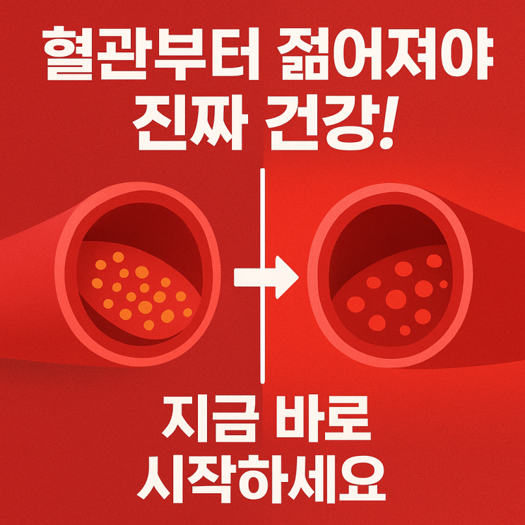  중년 이후 건강관리, 혈관부터 챙기는 3가지 포인트
