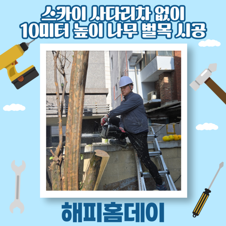  서울 나무 벌목 업체 아파트 전지작업 비용
