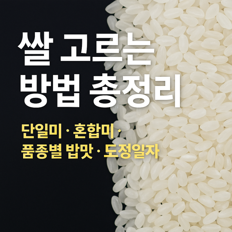  쌀 종류를 제대로 이해하고 고르는 방법 총정리