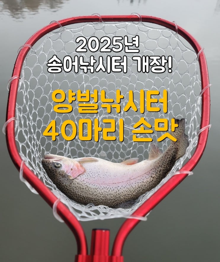  2025년 첫 송어낚시 양벌낚시터 40마리 손맛