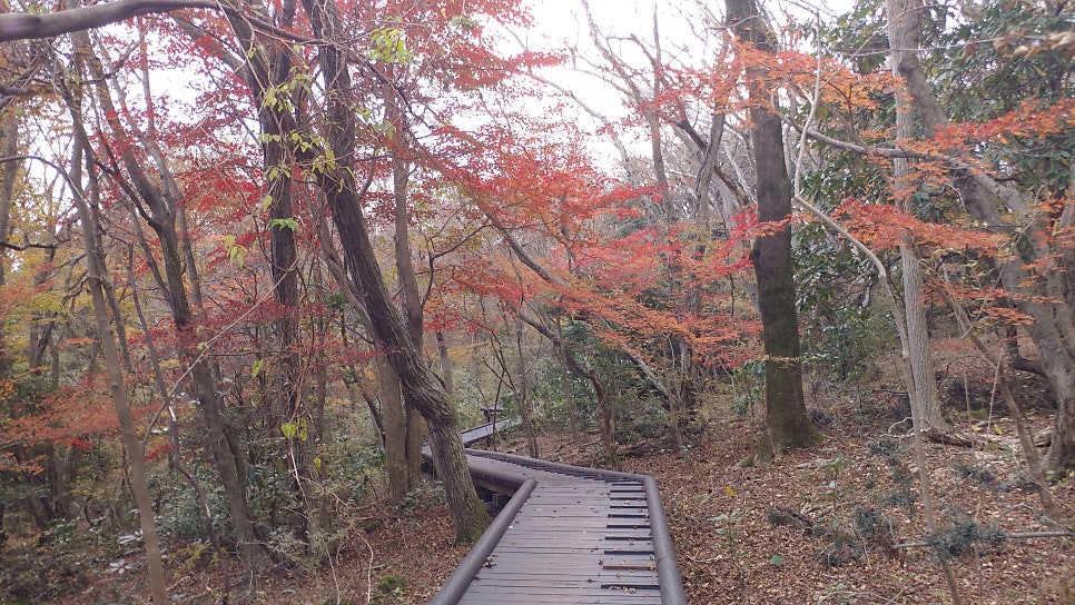 만추 사진 6