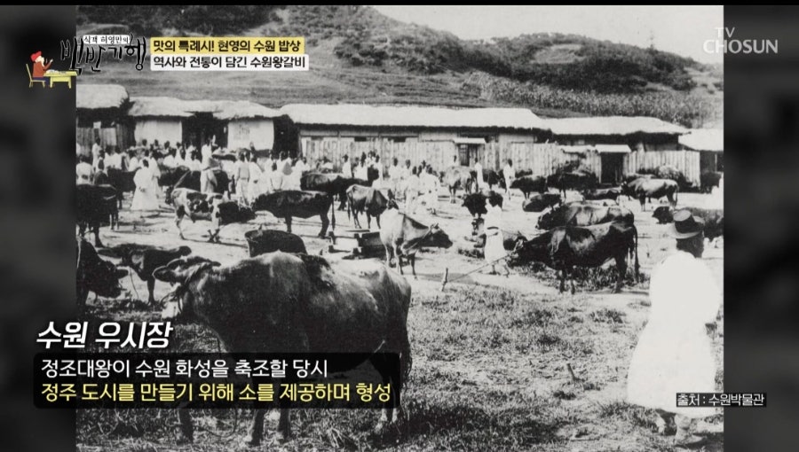 동해북어찜 사진 6