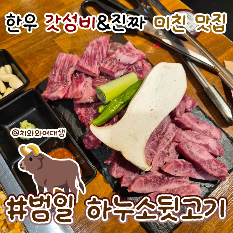  범일동 고기집 하누소뒷고기 소고기 맛집