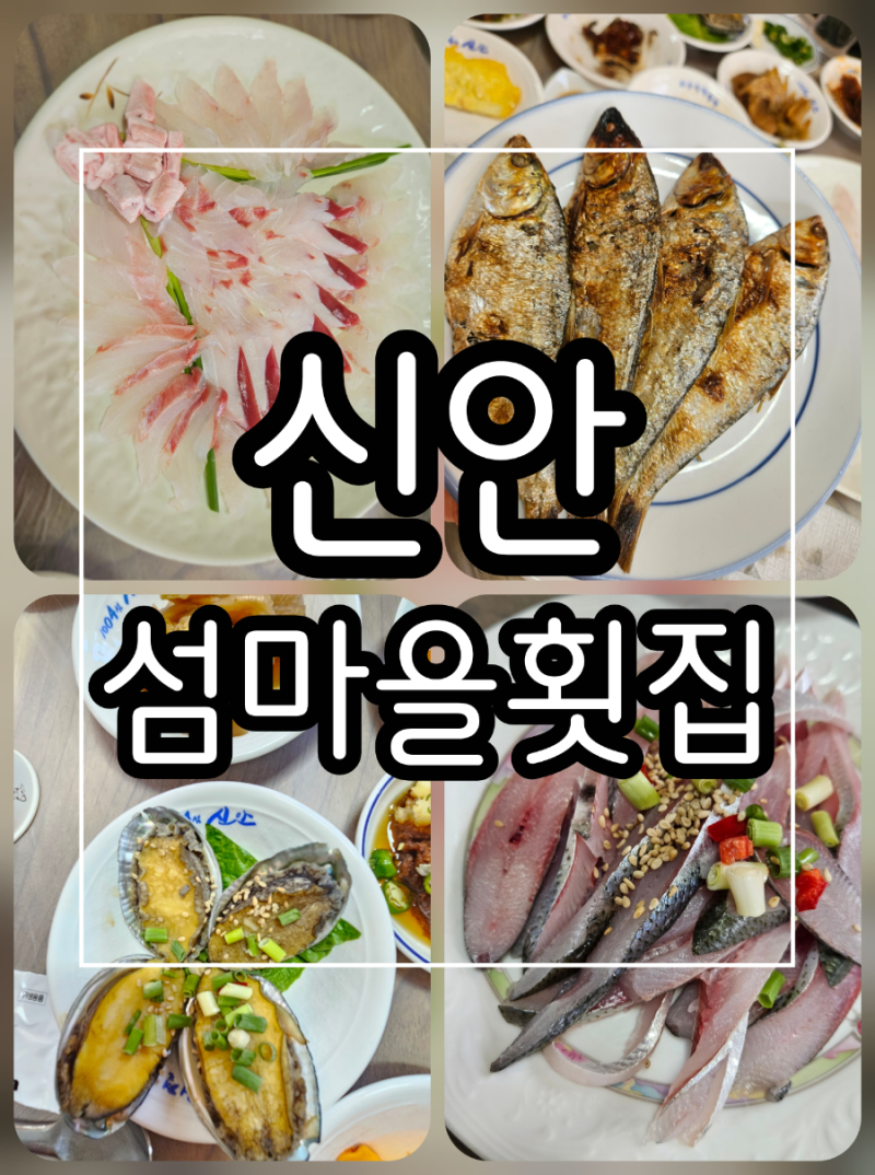 또 가고싶은 신안맛집 [섬마을횟집]민어 코스 & 제철 해산물, 섬의 바다를 한 접시에