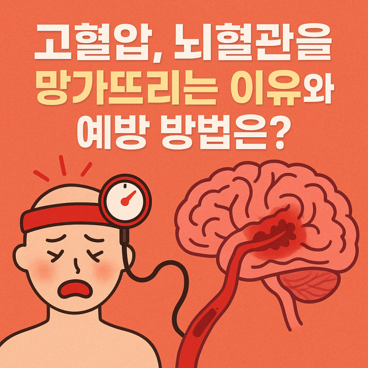  고혈압이 뇌혈관을 망가뜨리는 이유