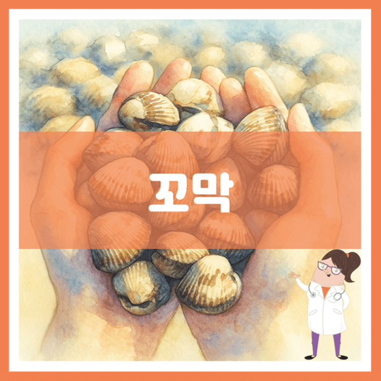  꼬막 효능 부작용 고르는 방법