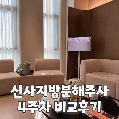  신사지방분해주사로 팔뚝 관리하는 예신의 압구정비만클리닉 4주차 내돈내산 후기