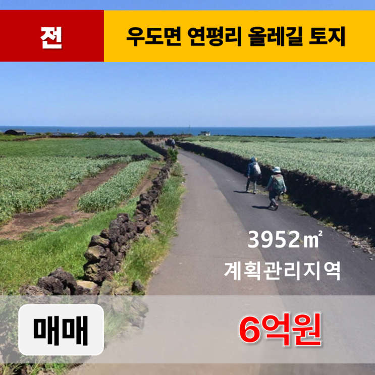  《제주도토지 매매》 우도면 연평리 오션뷰 올레길 토지 매매