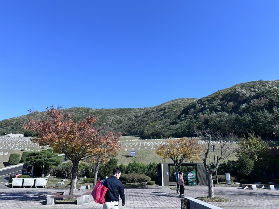 금화림 사진 3