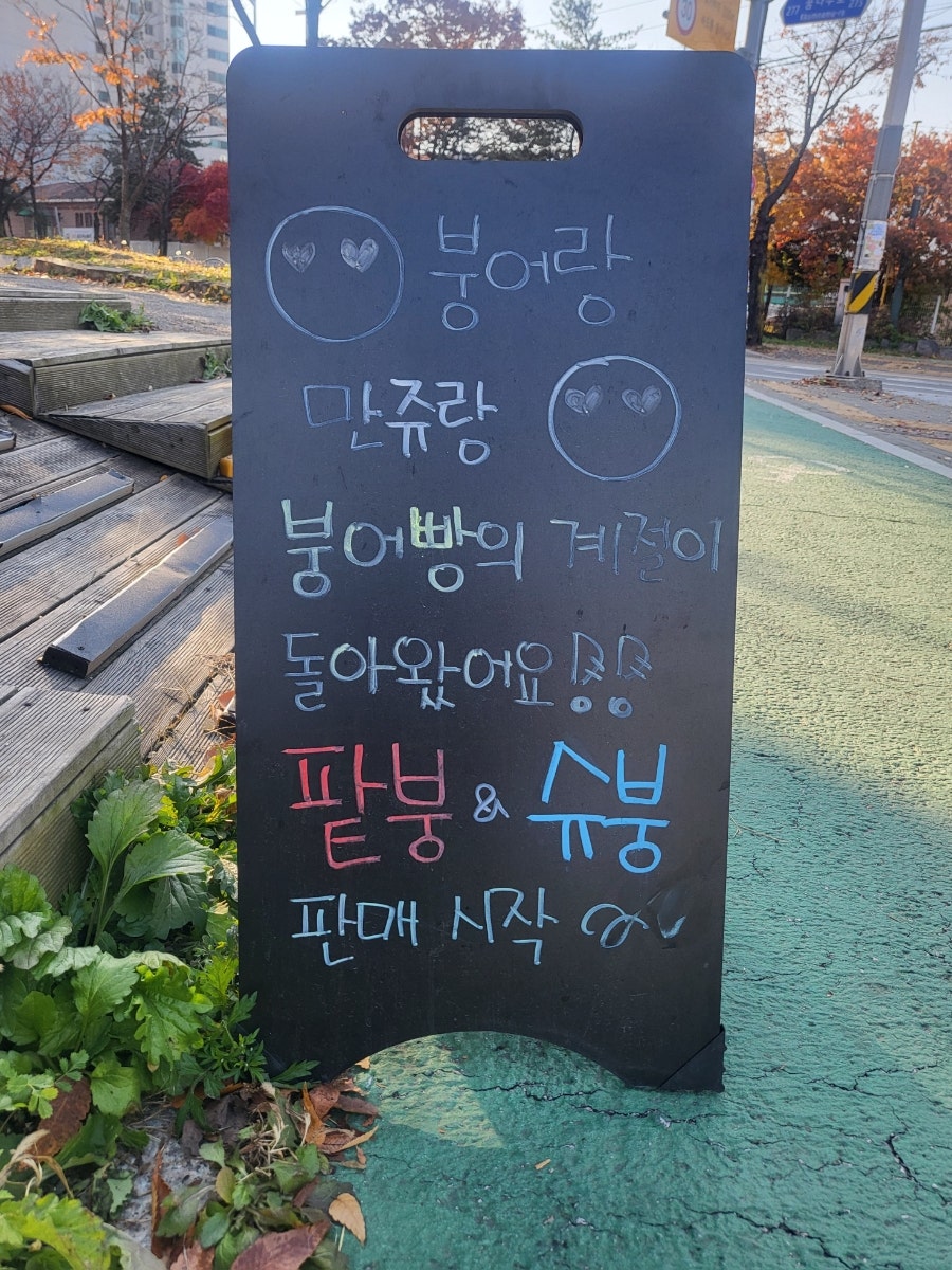 붕어랑만쥬랑 사진 2