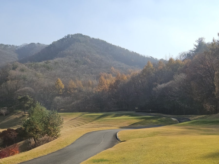 감토가든 사진 4