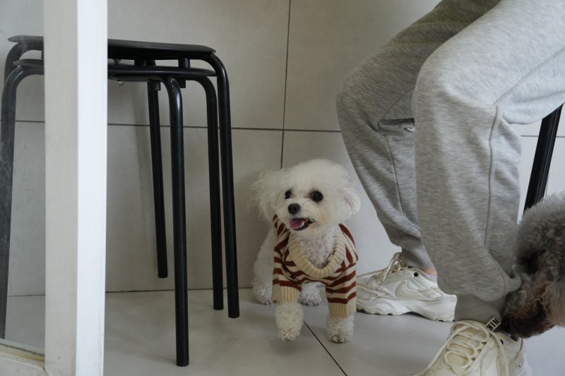 사진 5