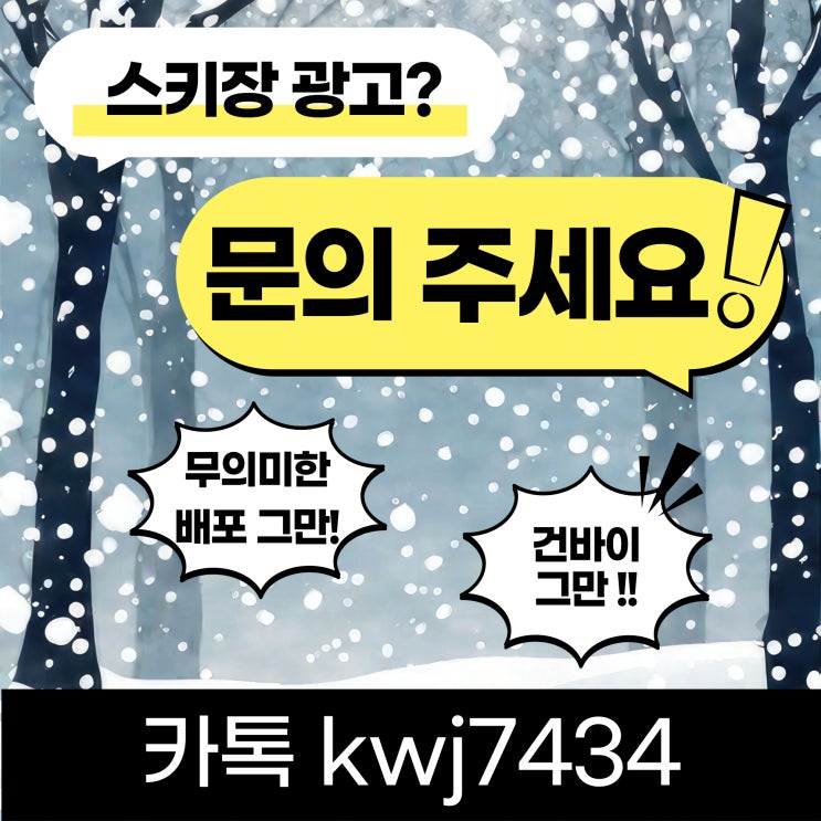  알펜시아 어린이 스키강습 2:1 내돈내산 후기