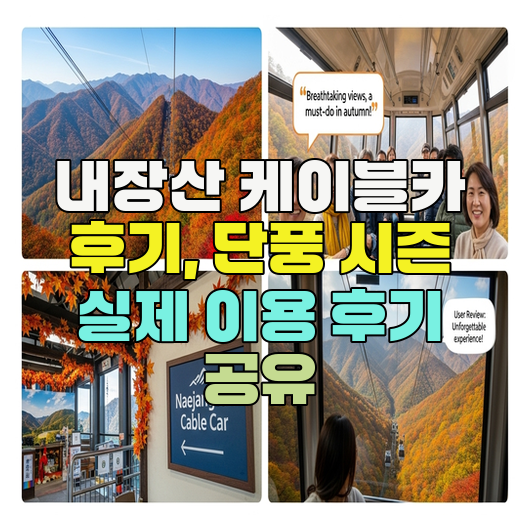  내장산 케이블카 후기, 단풍 시즌 실제 이용 후기 공유