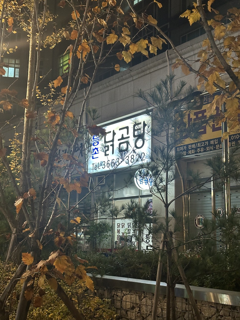 등촌닭곰탕 사진 1
