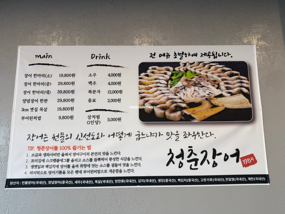 청춘장어1984 사진 3