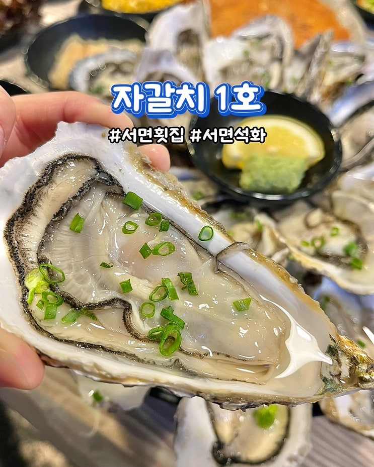  부산 서면 가성비 횟집 자갈치1호 신선하고 푸짐한 생석화 맛집