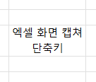 엑셀 ／ 화면 캡쳐 단축키