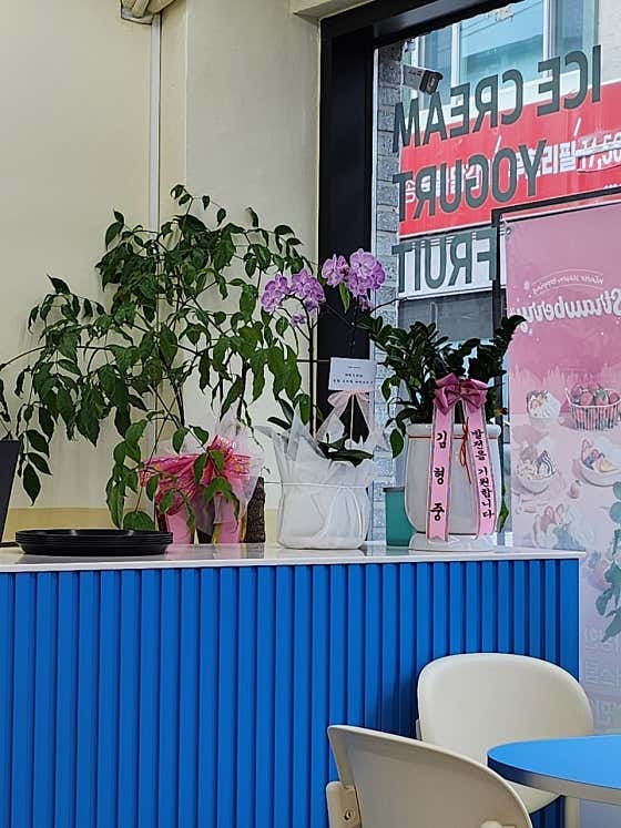 요거트아이스크림의정석 남원점 사진 6