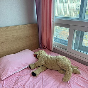 로즈맘 산후조리원 9박10일 일상 일기(11.14-11.23)
