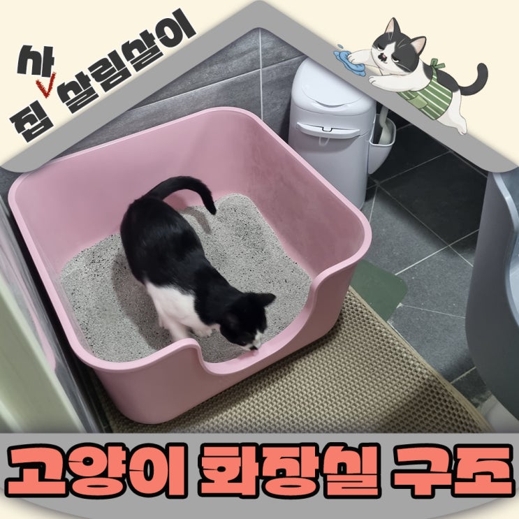  고양이가 좋아하는 화장실은 따로 있다. 형태, 구조, 크기 장단점 총정리
