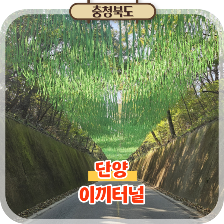  충북 단양 이끼터널 당일치기 여행코스, 초록의 터널!