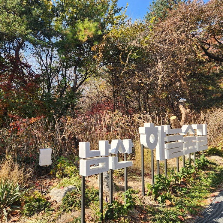  [용산] 남산 하늘숲길 산책로 _ 서울 단풍 명소, 가볼만한 곳 / 남산타워