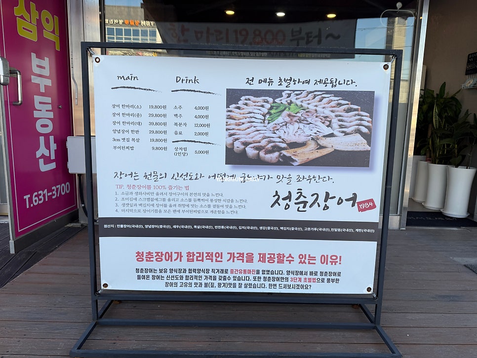 청춘장어1984 사진 2