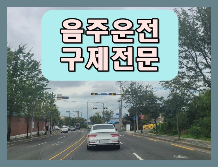  광주음주운전행정사 벌금 면허취소를 앞두고 있다면
