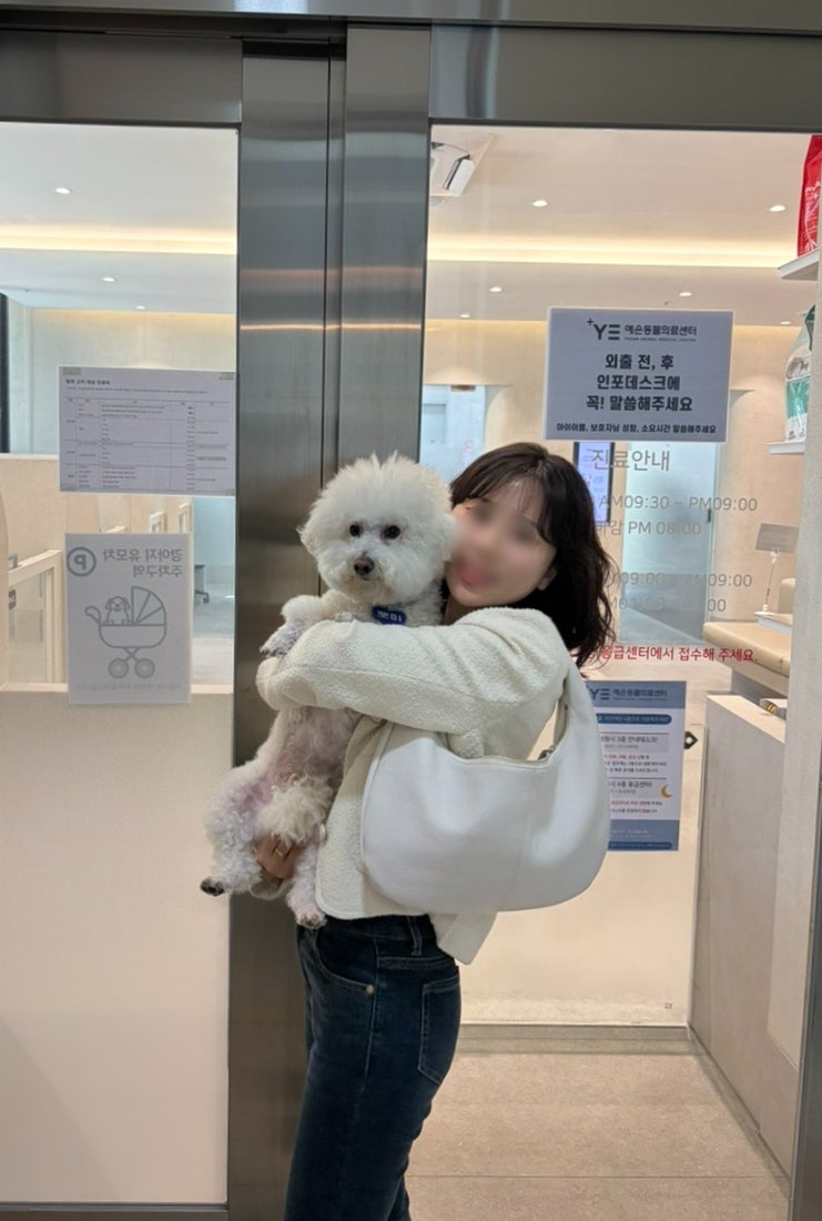 예은동물병원 / 2번째 건강검진 후기