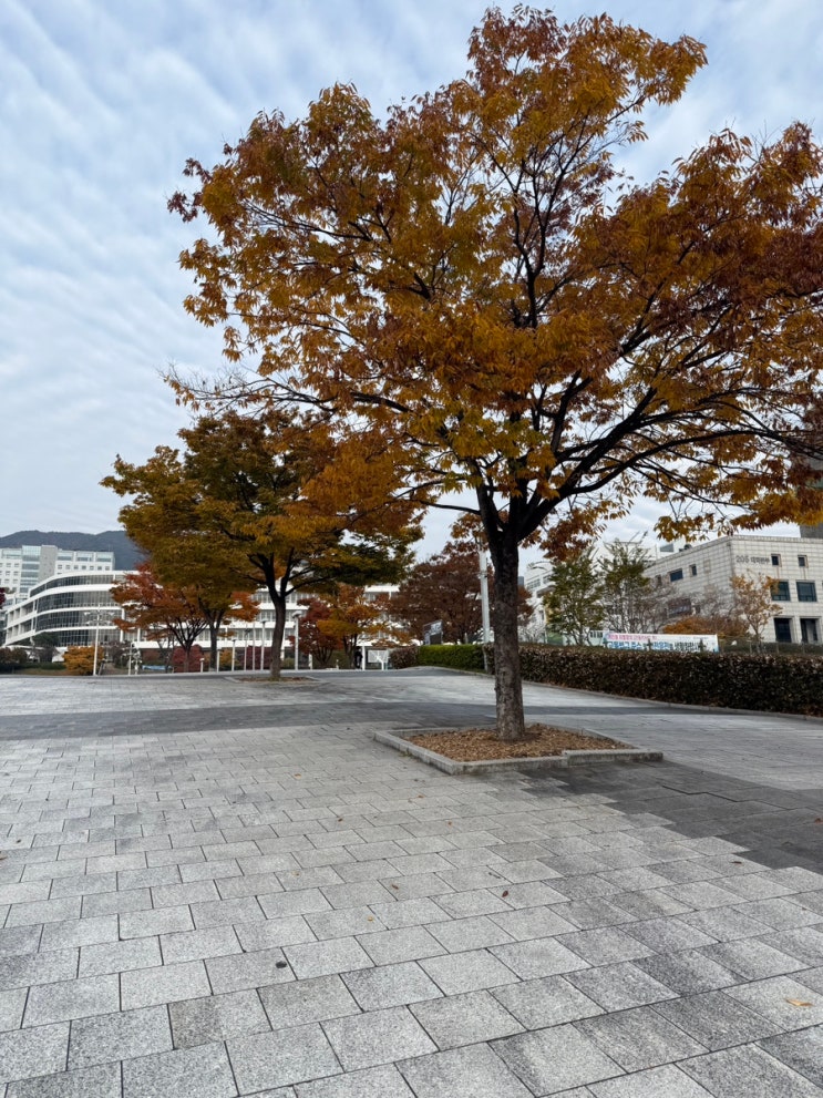  부산대학교 특수대학원 행정대학원 모집 지원 자격 ㅣ이력서 면접 꿀팁(+정보 추가)