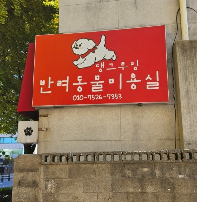 사진 2