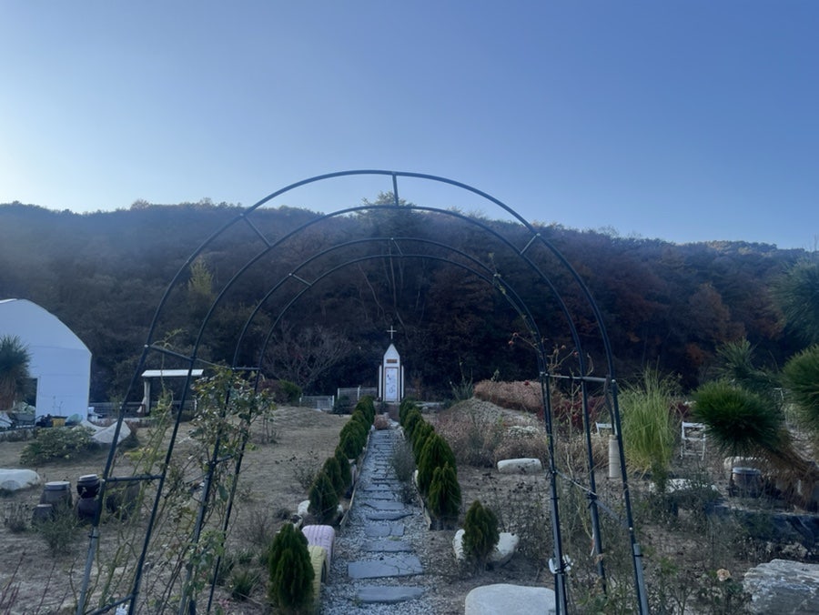 훈이네관광농원 사진 2