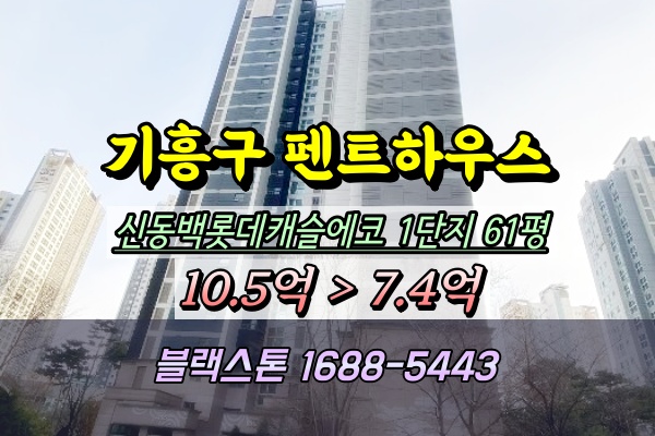  신동백롯데캐슬에코 펜트하우스 경매 1단지 61평