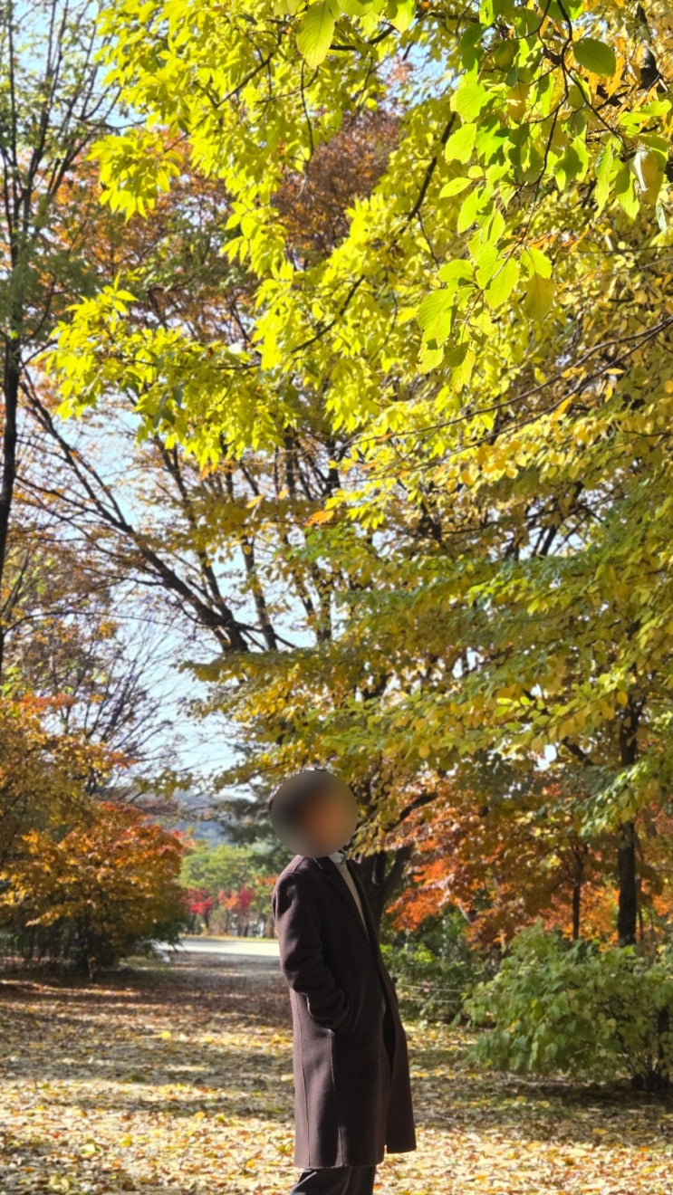  남양주 단풍명소 추천 : 남양주 홍유릉 (조용하게 단풍구경하기 좋은 둘레길 코스)