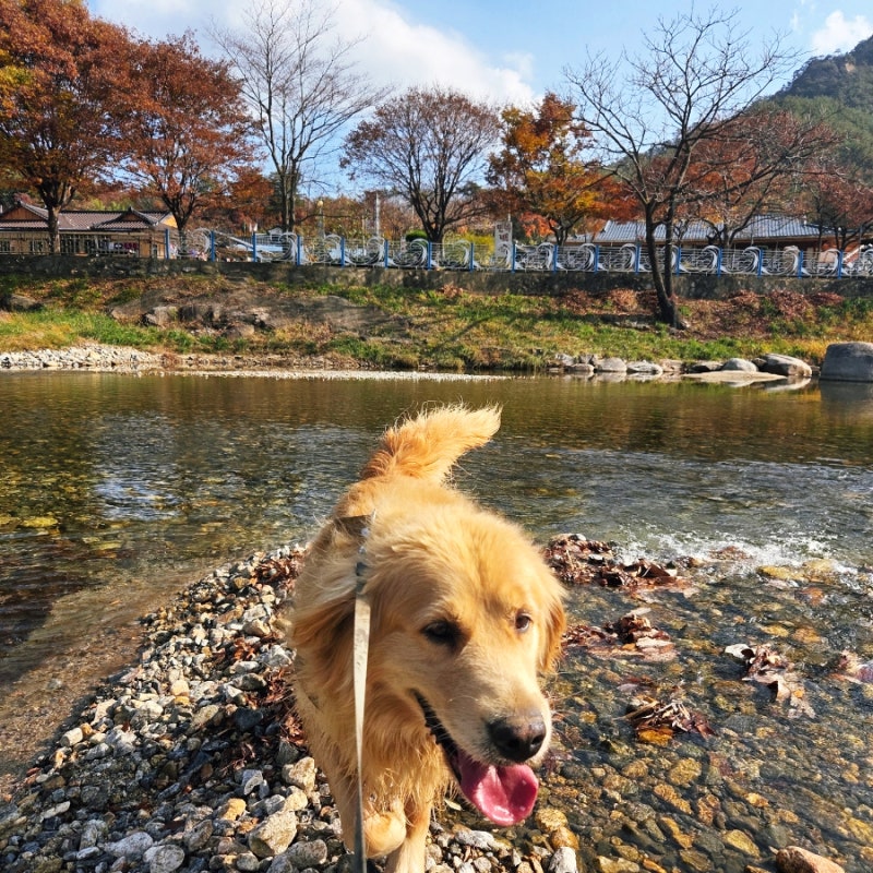 사진 8