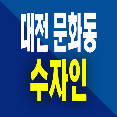  대전 문화동 수자인 분양가 중구 문화공원 특례사업 미분양아파트 공급