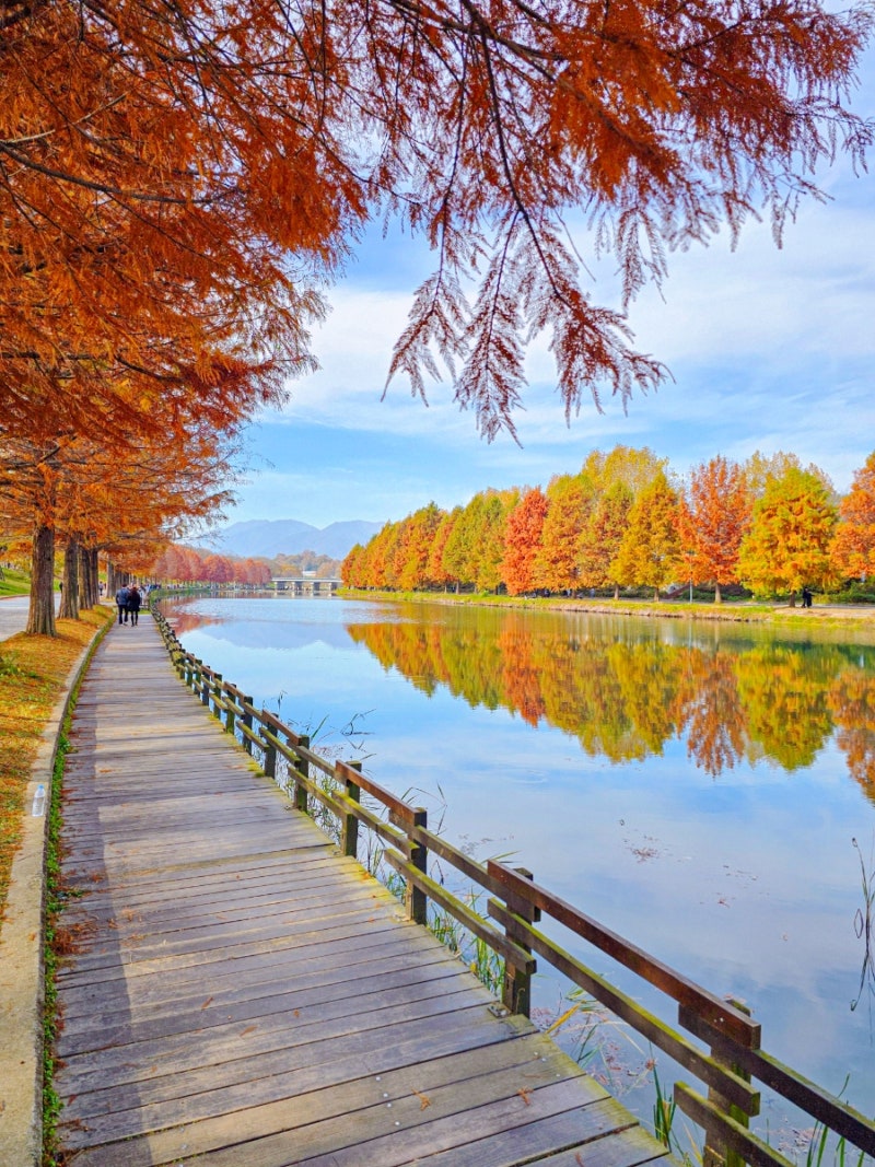 사진 8