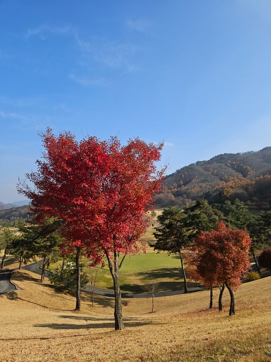 감토가든 사진 3