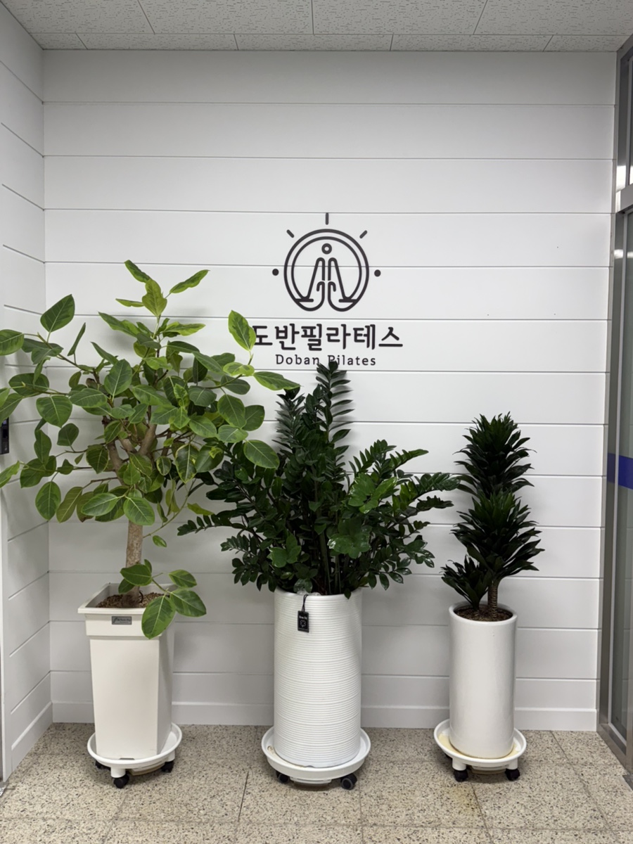 도반필라테스 사진 3